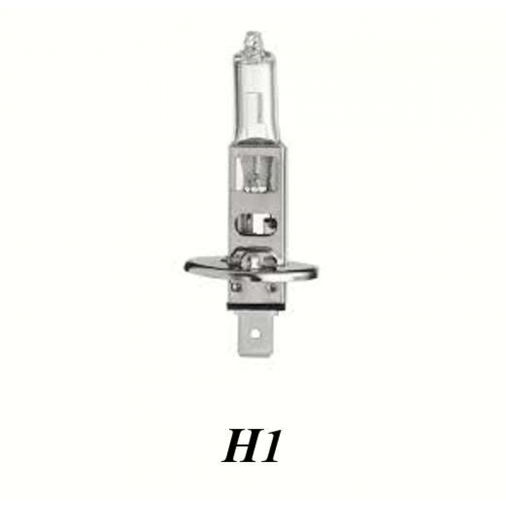 H1