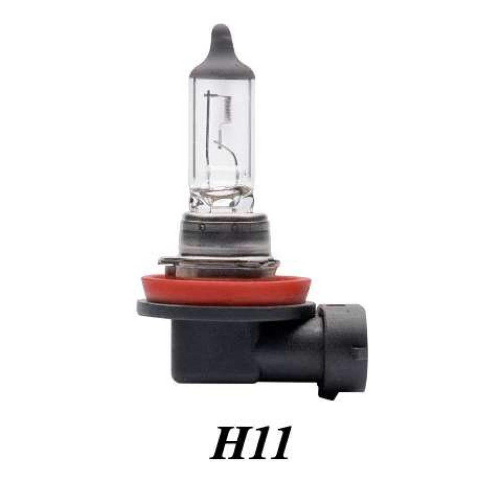 H11