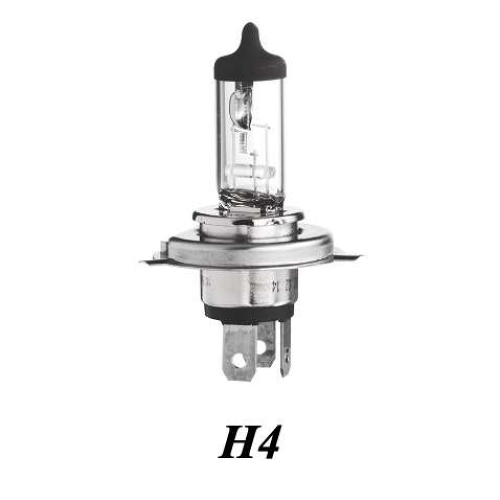 H4