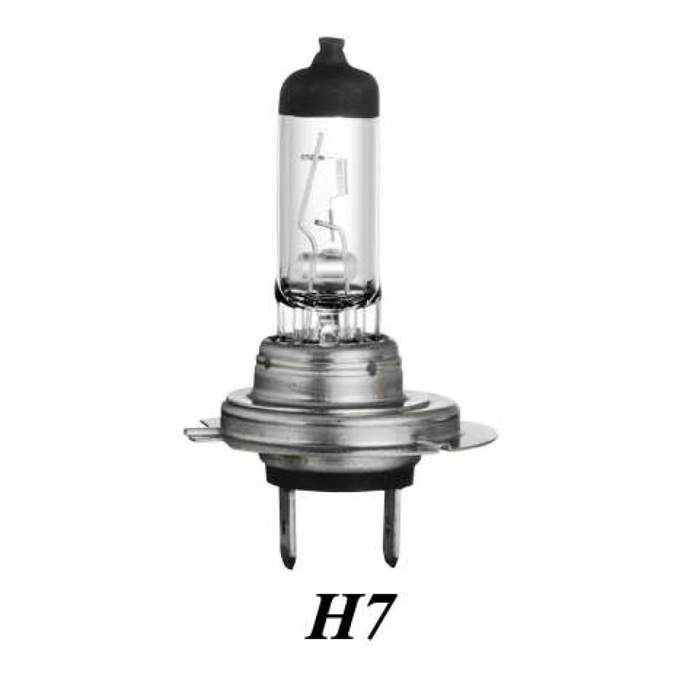 H7