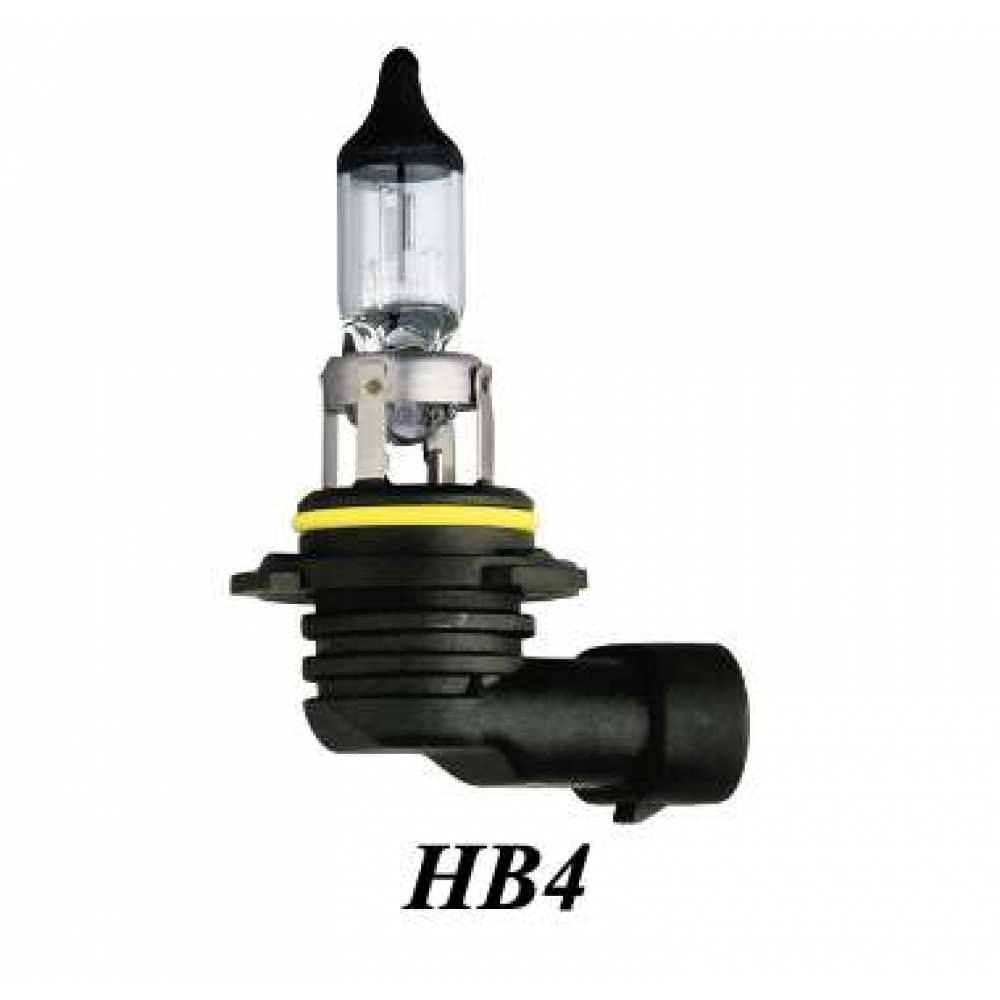HB4